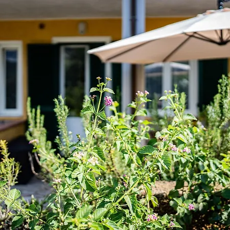 Olmi Apartman Marina di Campo