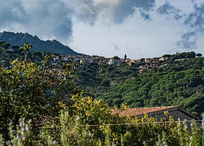 Olmi マリーナ・ディ・カンポ