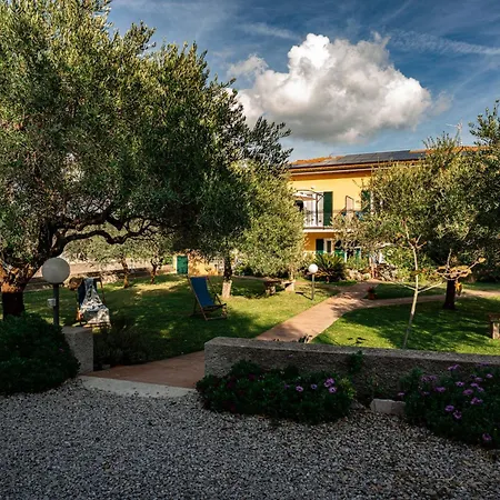 Olmi * Marina di Campo
