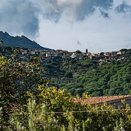 Olmi Marina di Campo